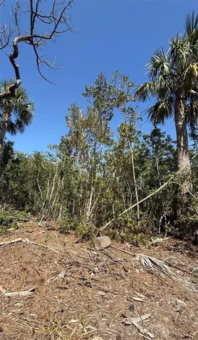 Sea Breeze Drive Tarpon Springs FL 34689