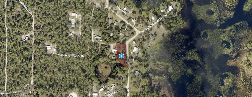 Morning View Drive Paisley FL 32767