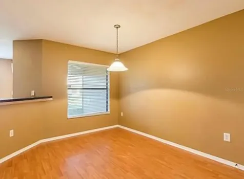 2453 Edgewater Falls Drive Brandon FL 33511