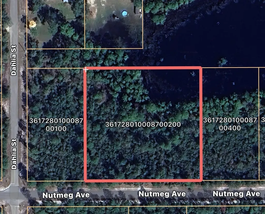 Nutmeg Avenue Eustis FL 32736