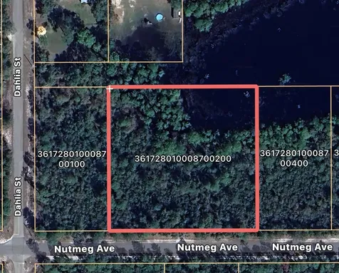 Nutmeg Avenue Eustis FL 32736