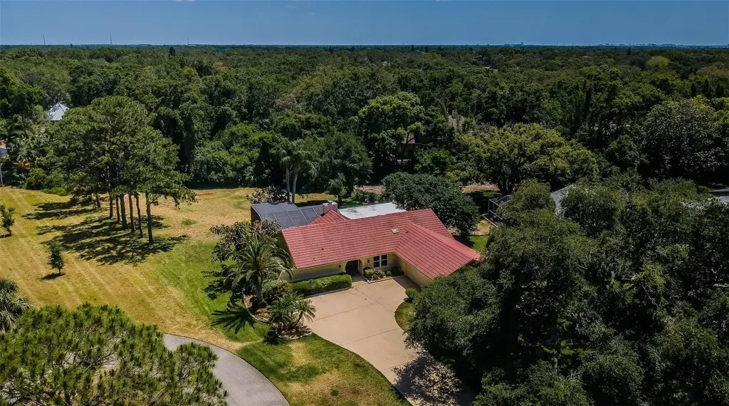 130 Woodcutter Lane Palm Harbor FL 34683