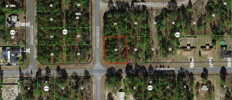 1273 W Newbury Street Citrus Springs FL 34434
