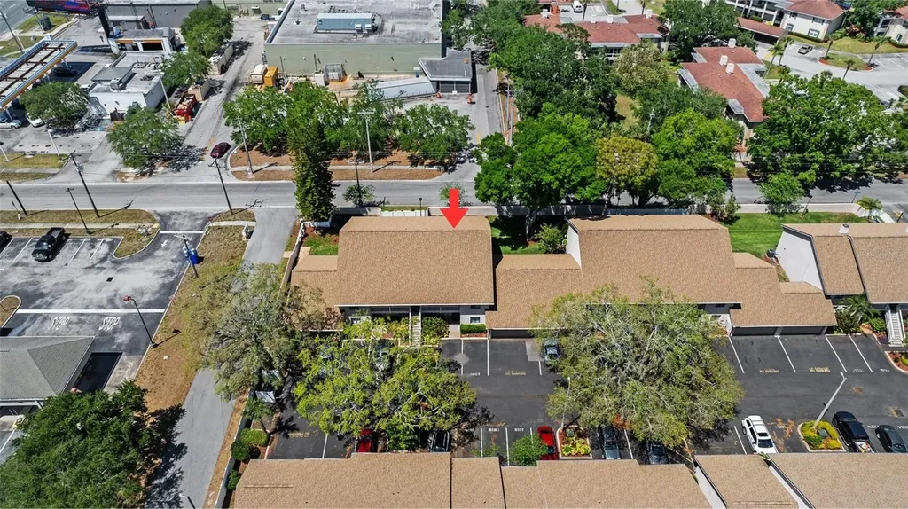 3709 Greenery Court Tampa FL 33618