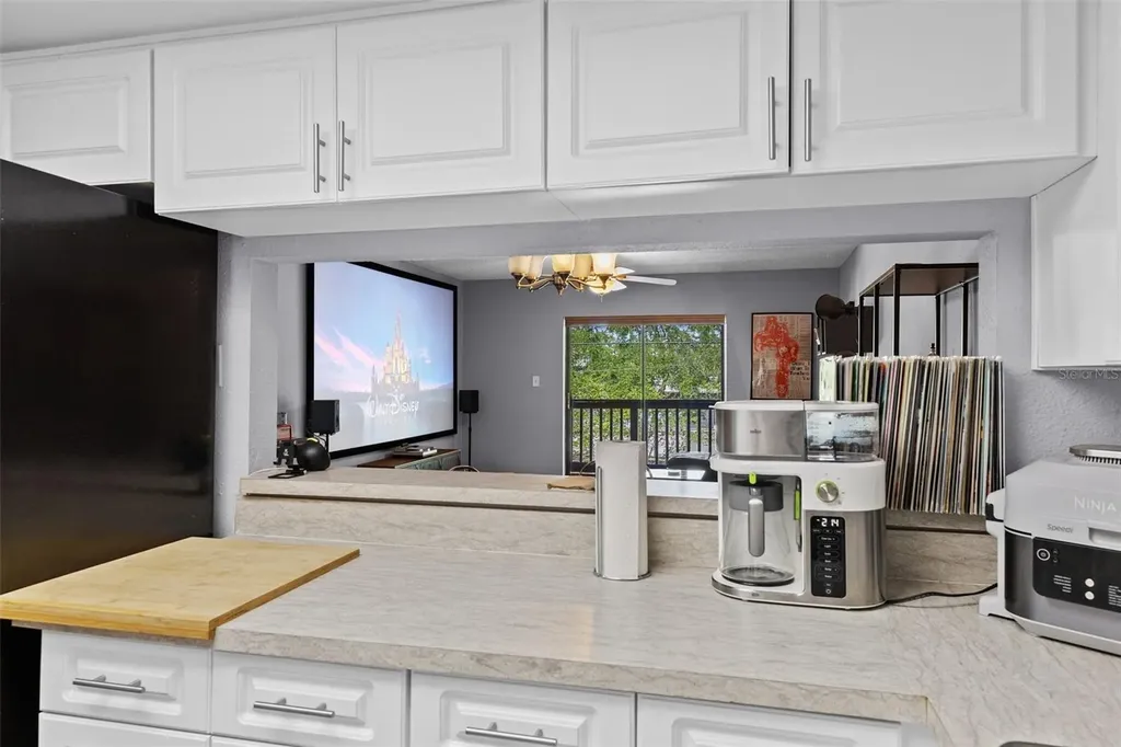 3709 Greenery Court Tampa FL 33618