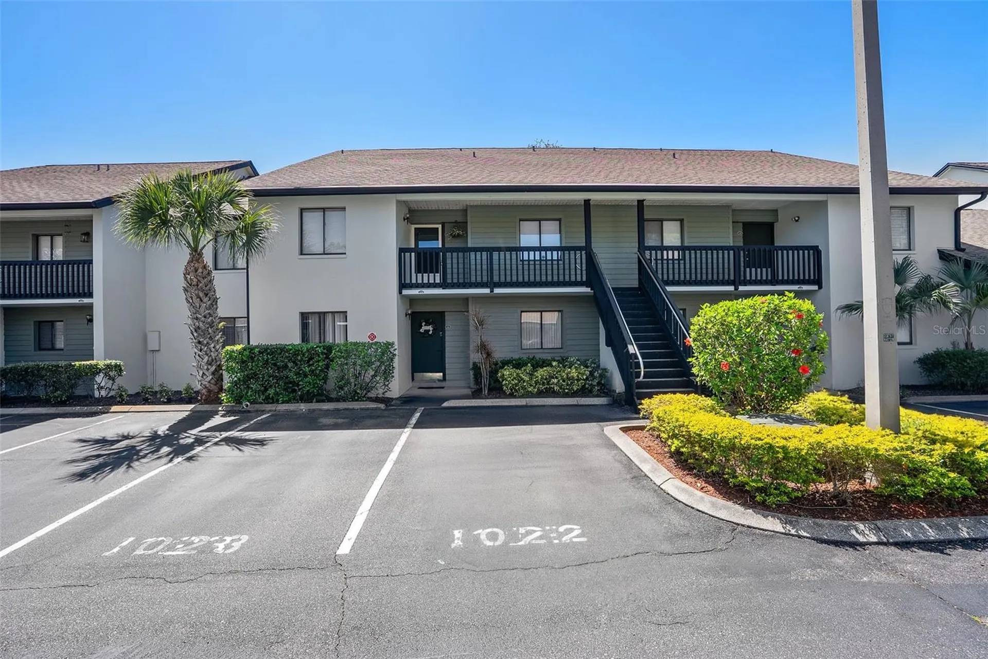 3709 Greenery Court Tampa FL 33618