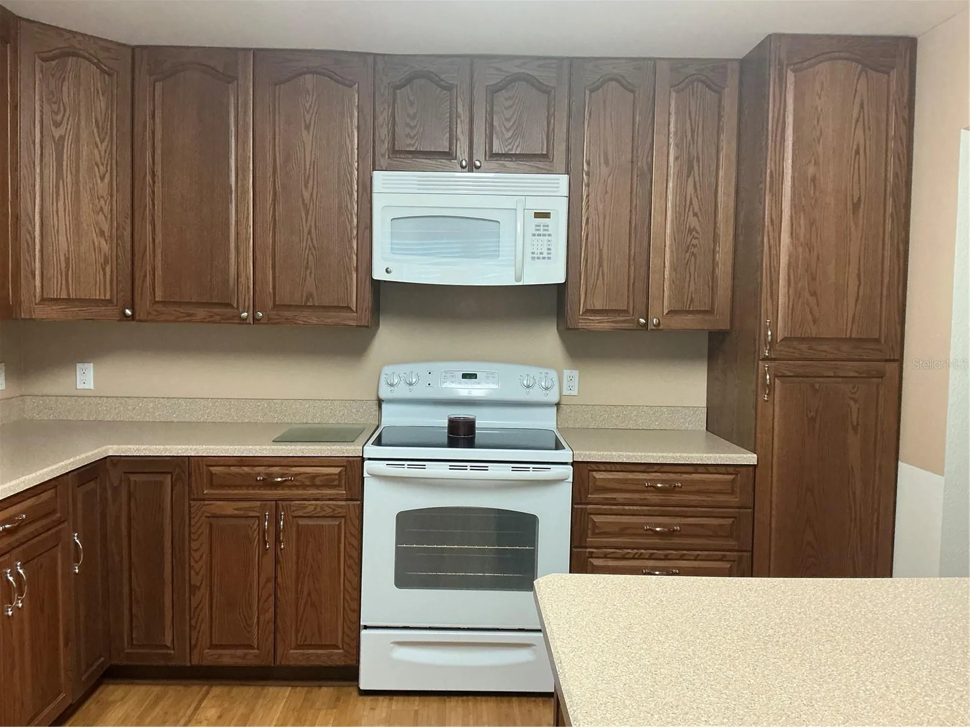 13 Trap Circle New Smyrna Beach FL 32168