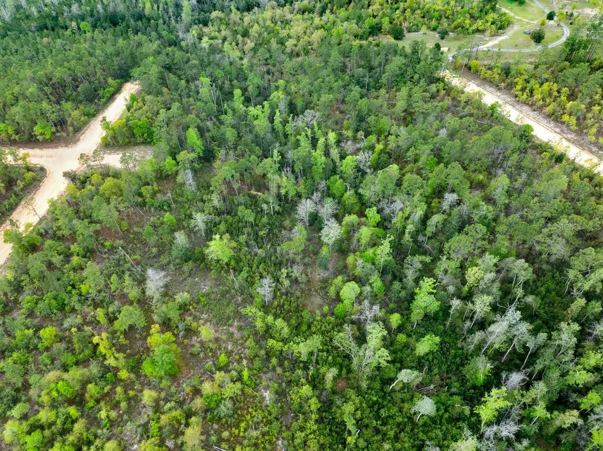 Castle Circle Alford FL 32420