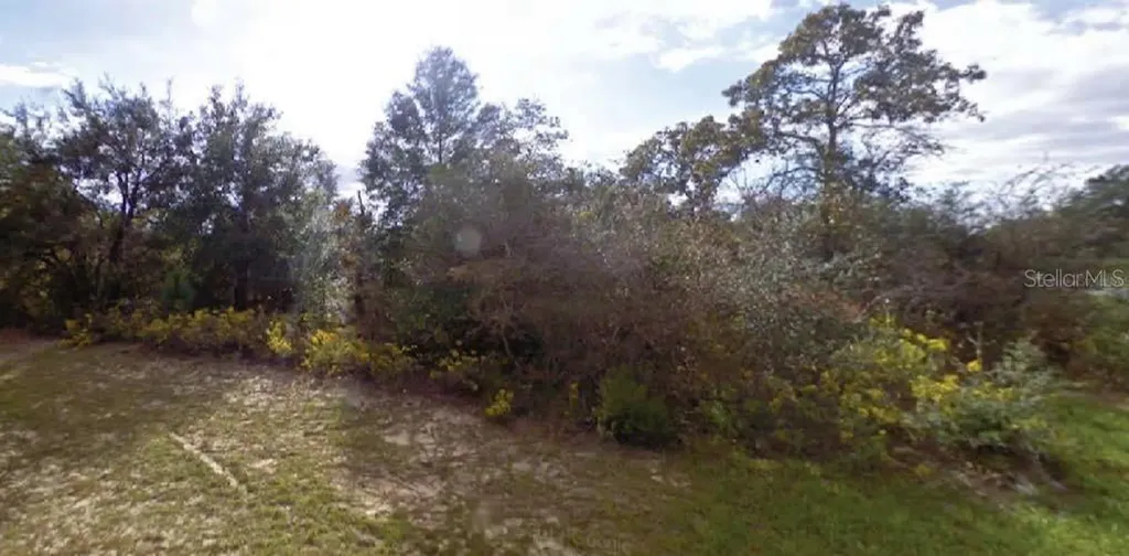 Beck Court Chipley FL 32428