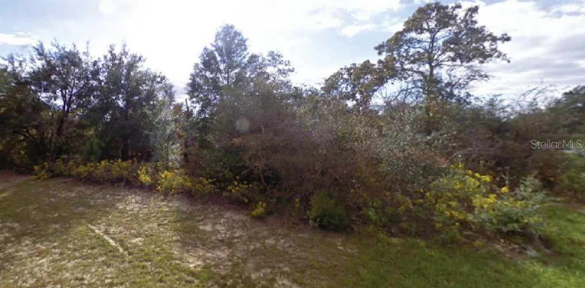 Beck Court Chipley FL 32428