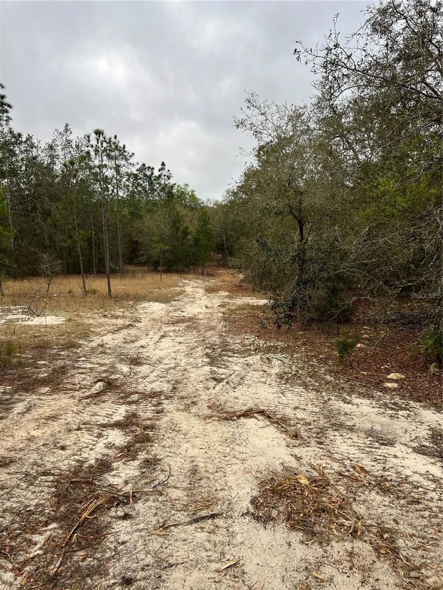 4625-4651 W Kelly Park Road Apopka FL 32712