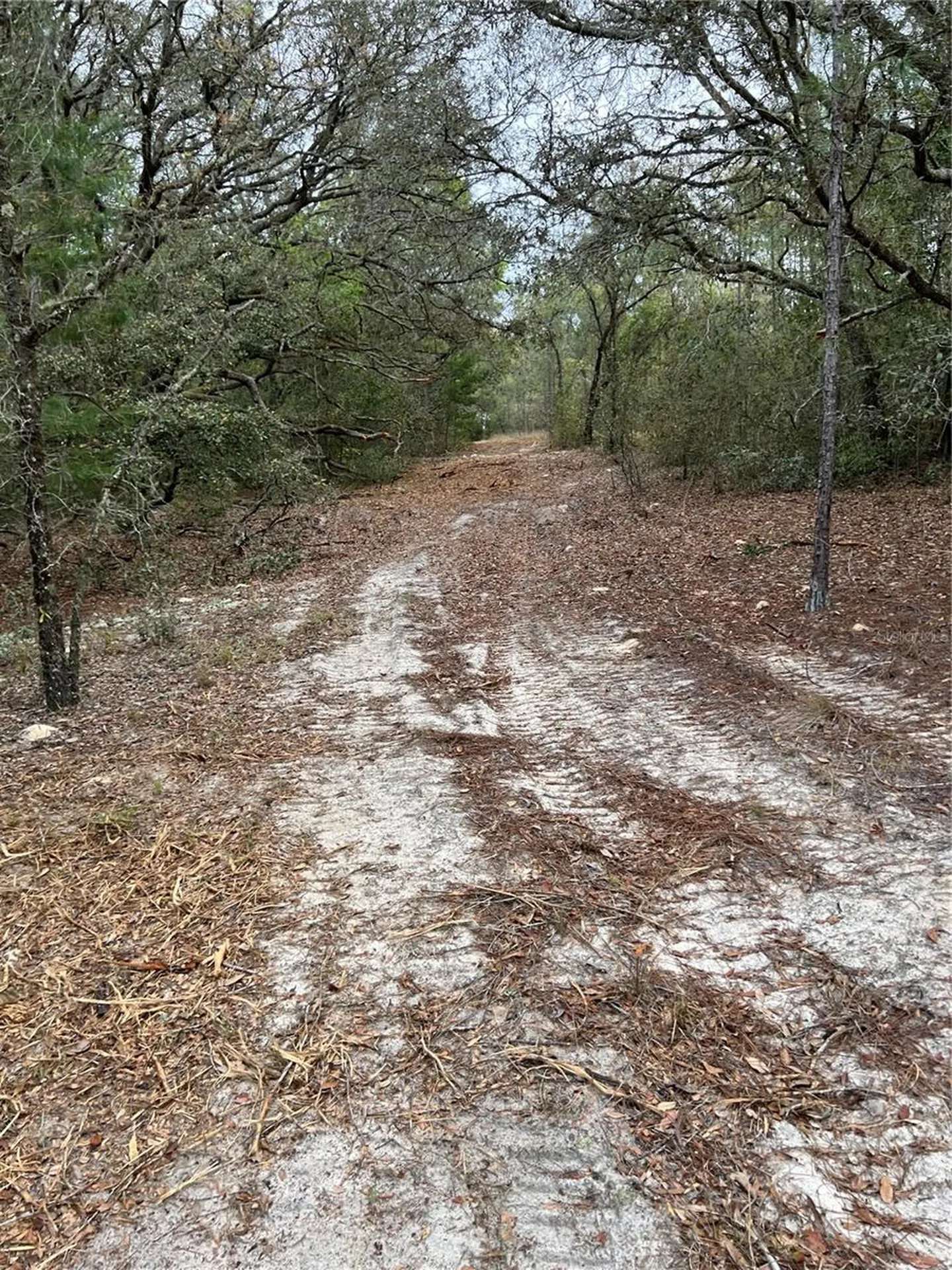4625-4651 W Kelly Park Road Apopka FL 32712