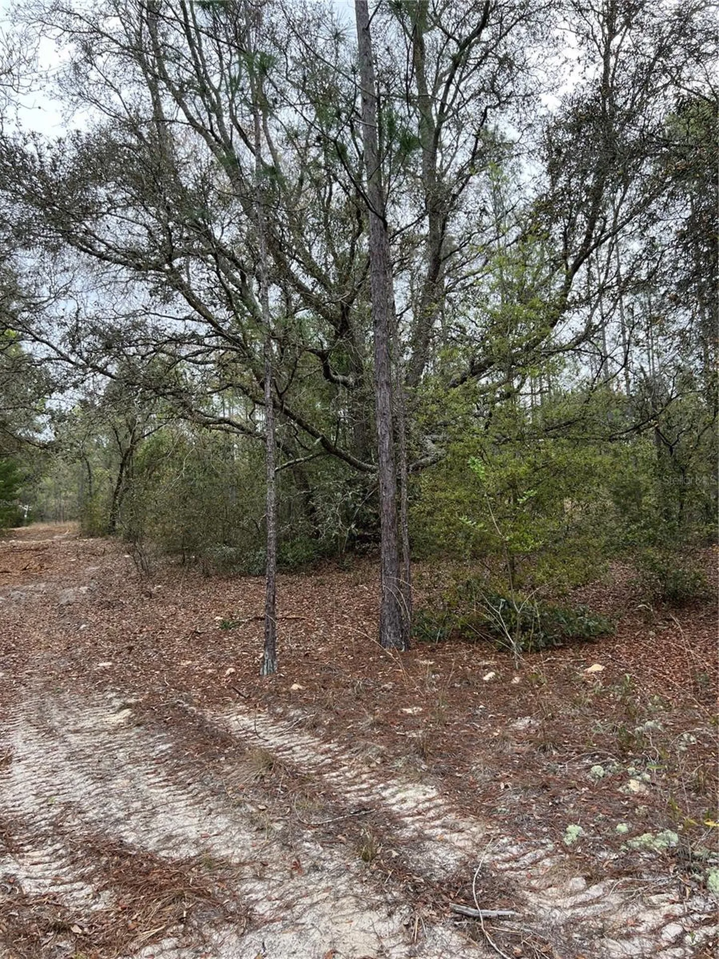 4625-4651 W Kelly Park Road Apopka FL 32712