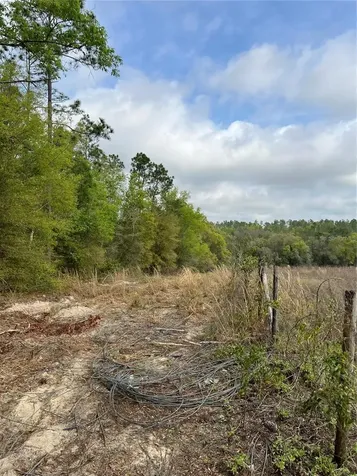 4625-4651 W Kelly Park Road Apopka FL 32712
