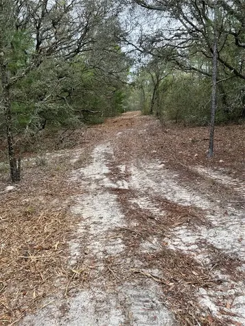 4625-4651 W Kelly Park Road Apopka FL 32712
