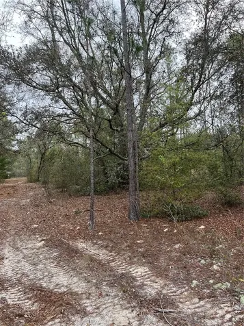 4625-4651 W Kelly Park Road Apopka FL 32712