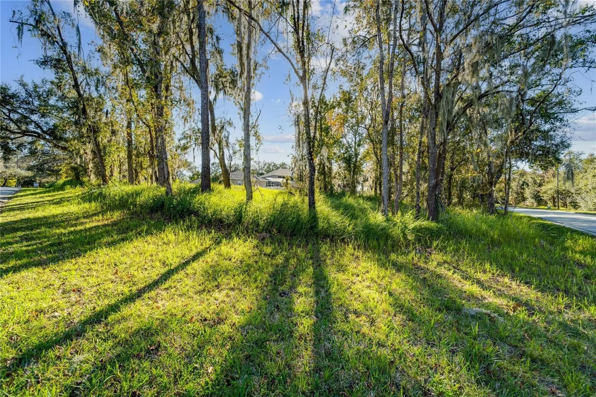12505 Lake Hills Drive Riverview FL 33569