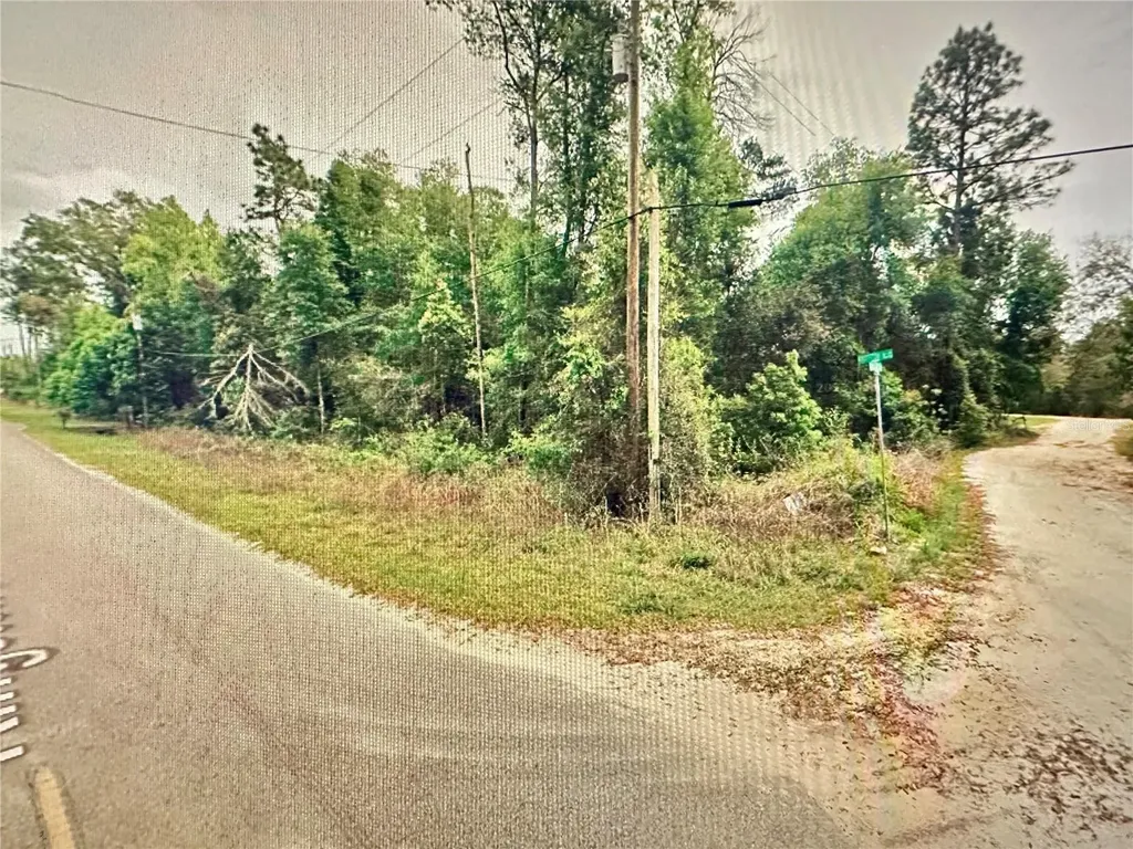 219 Kingston Boulevard Satsuma FL 32189