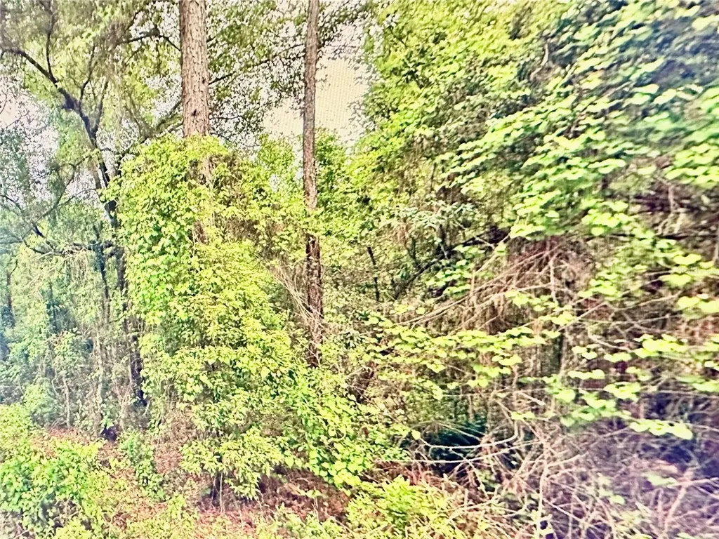 219 Kingston Boulevard Satsuma FL 32189