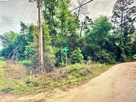 219 Kingston Boulevard Satsuma FL 32189