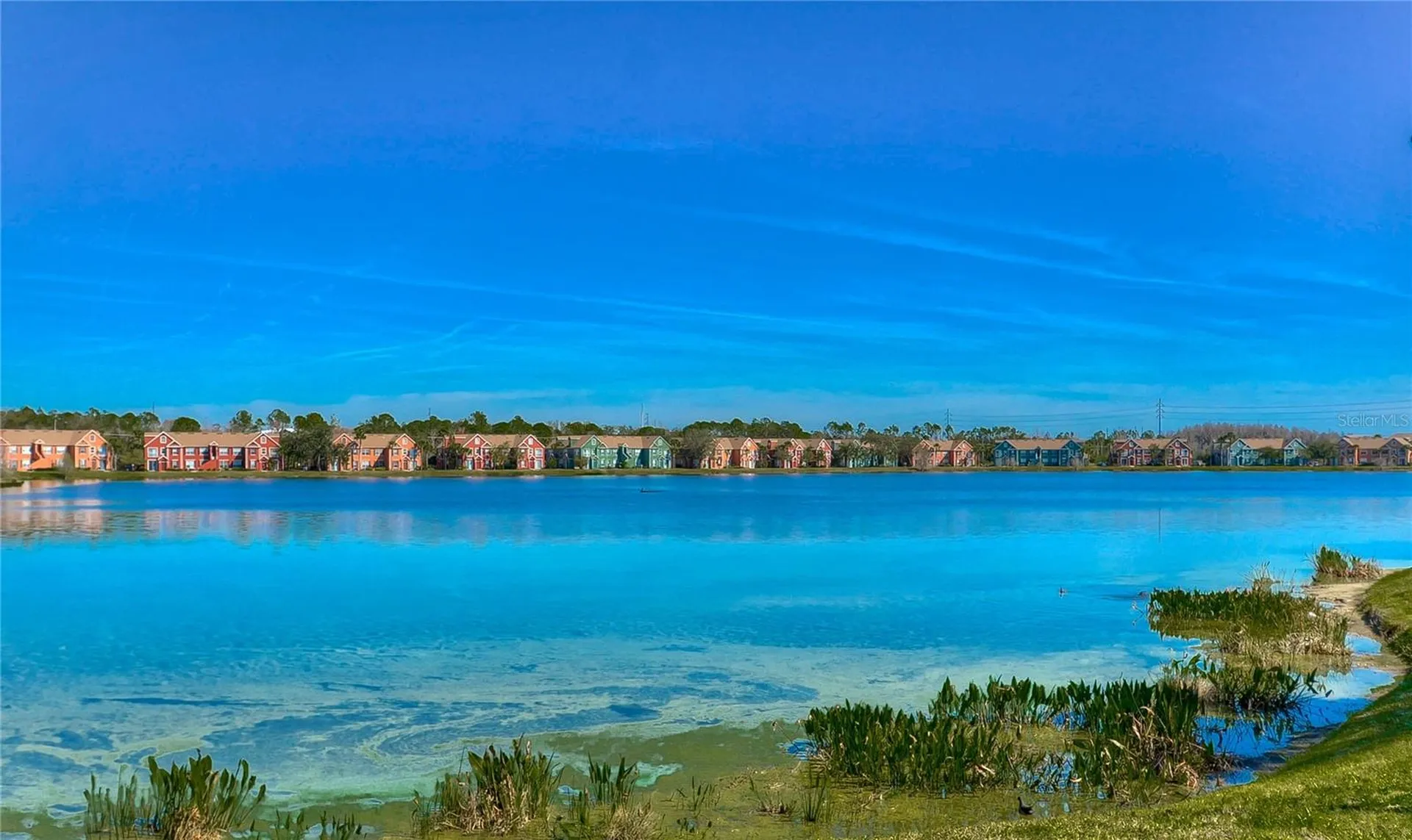 9304 Lake Chase Island Way Tampa FL 33626