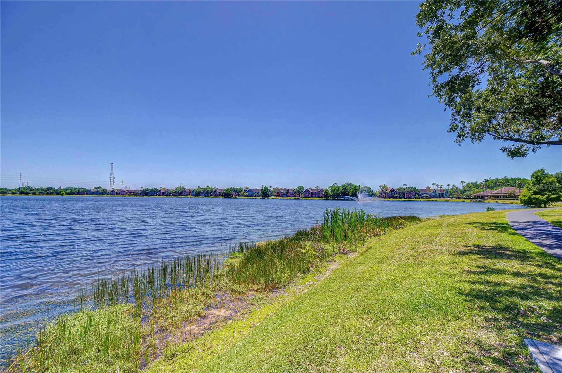 9304 Lake Chase Island Way Tampa FL 33626