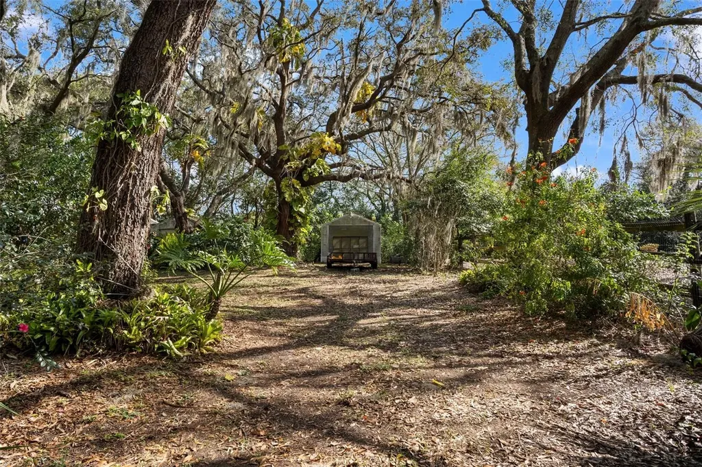 13015 Elm Street Odessa FL 33556