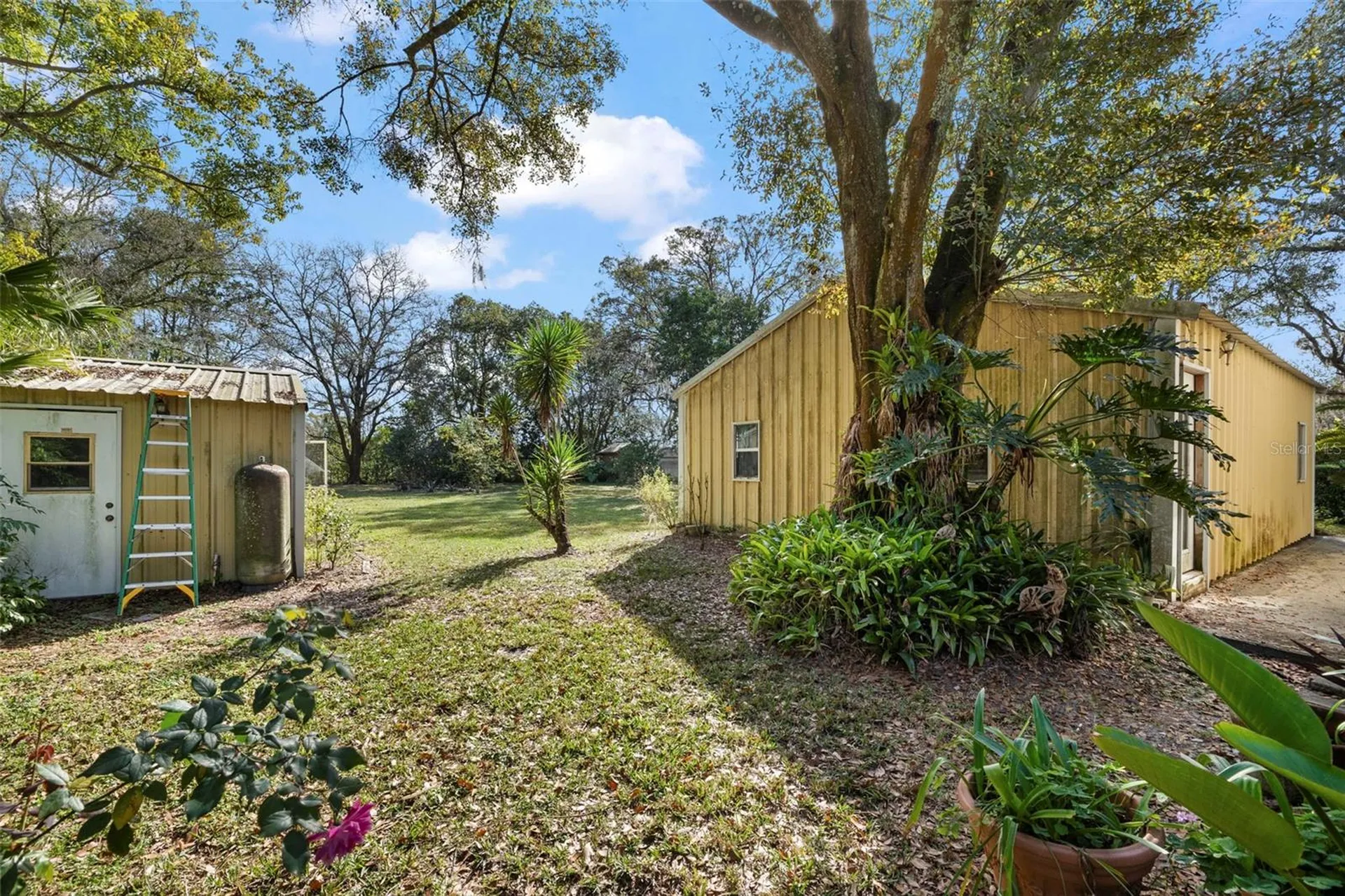 13015 Elm Street Odessa FL 33556