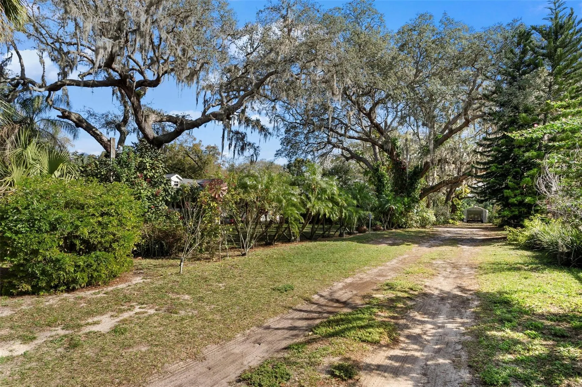 13015 Elm Street Odessa FL 33556