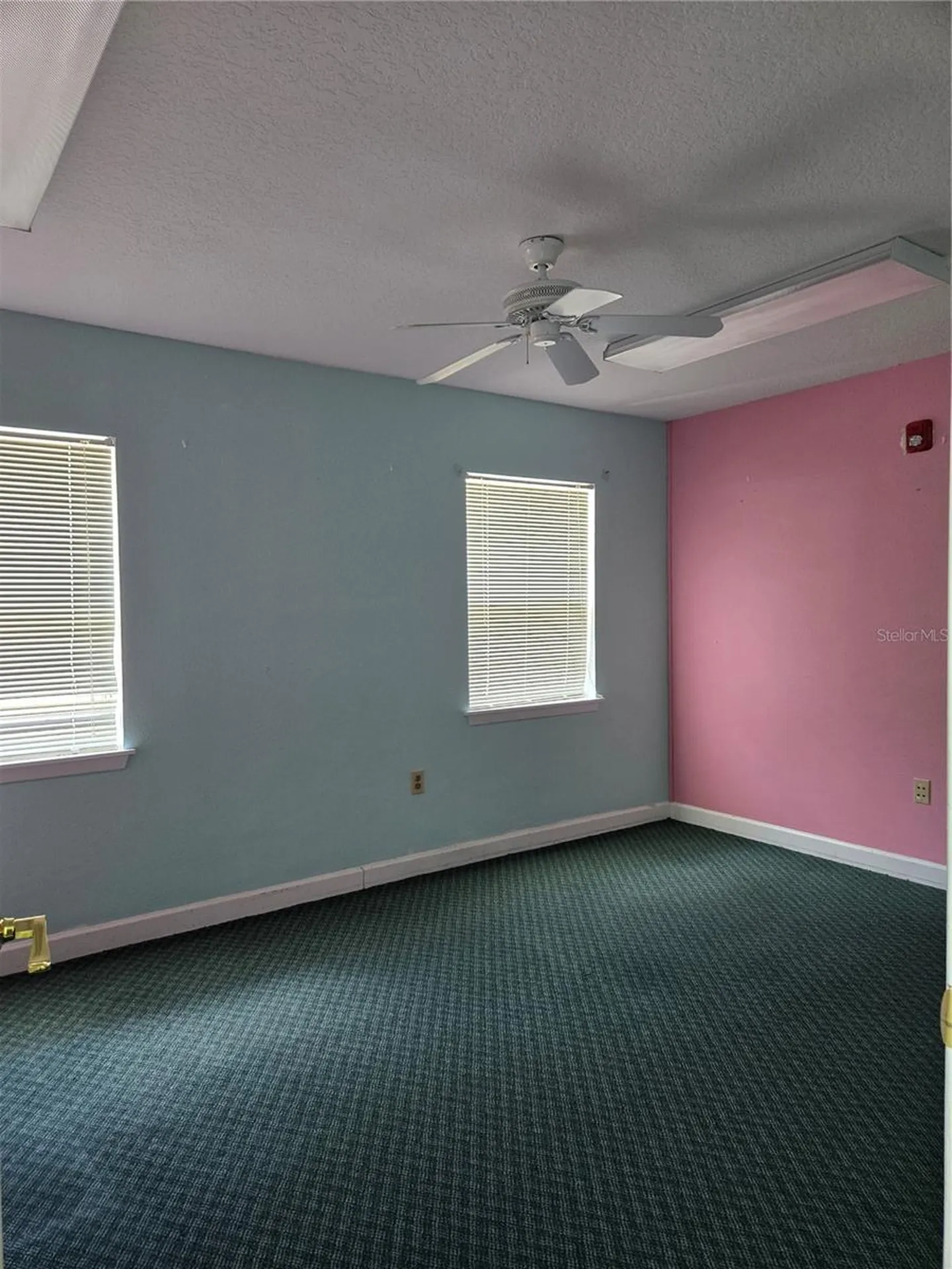 8726 Old County Road 54 New Port Richey FL 34653