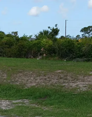 353 Baytree Drive Rotonda West FL 33947