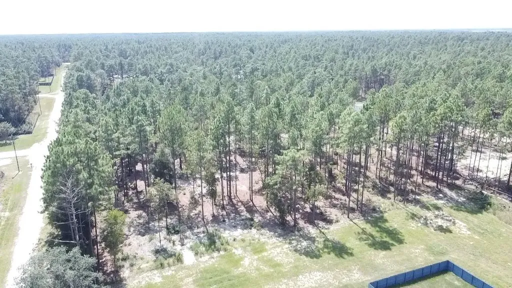 00 SW 69th Place Ocala, Fl 34481 Ocala FL 34481
