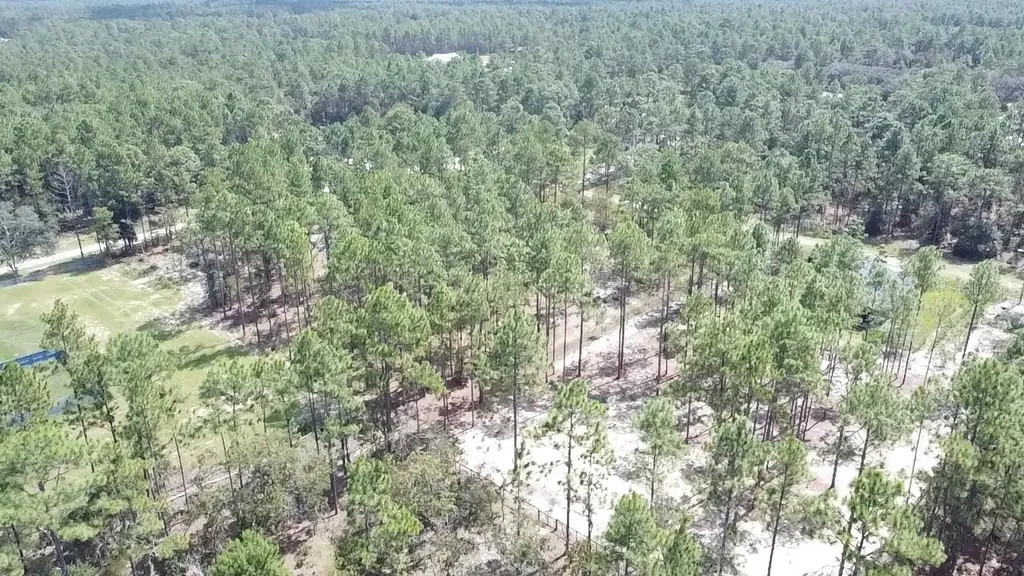 00 SW 69th Place Ocala, Fl 34481 Ocala FL 34481