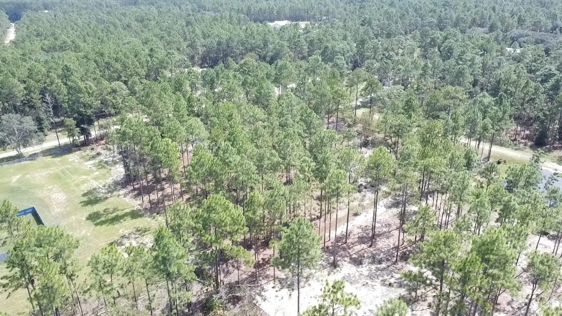 00 SW 69th Place Ocala, Fl 34481 Ocala FL 34481