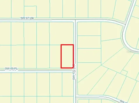 00 SW 69th Place Ocala, Fl 34481 Ocala FL 34481