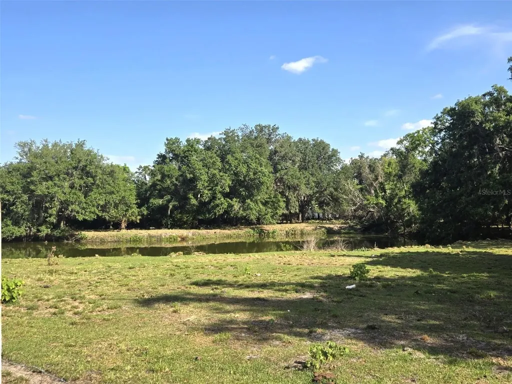3101 Medulla Road Plant City FL 33566
