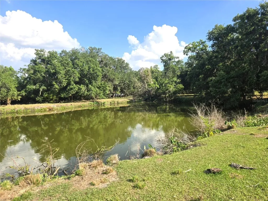 3101 Medulla Road Plant City FL 33566