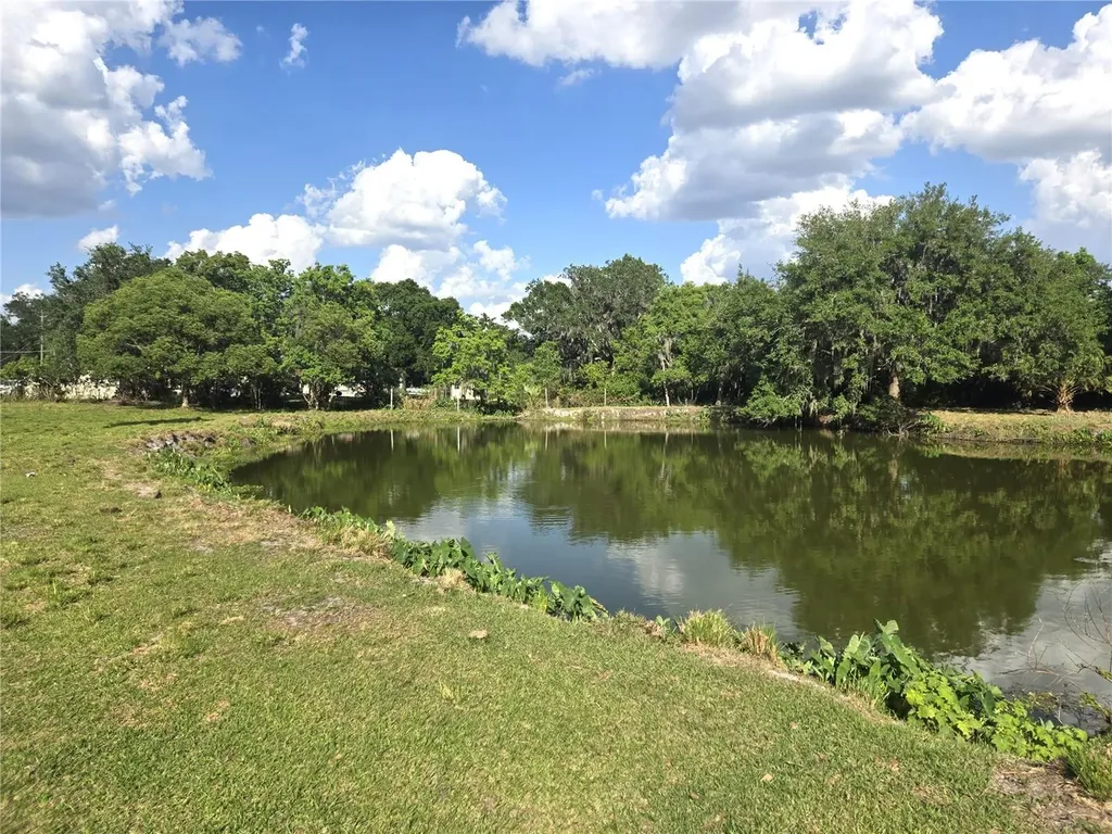 3101 Medulla Road Plant City FL 33566