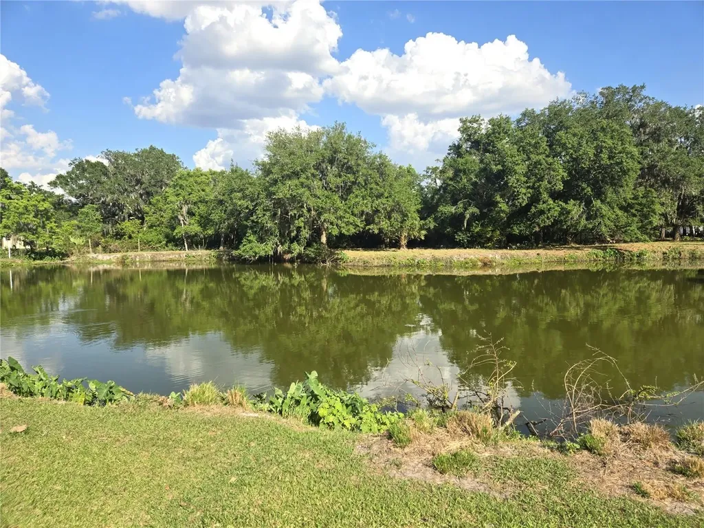 3101 Medulla Road Plant City FL 33566