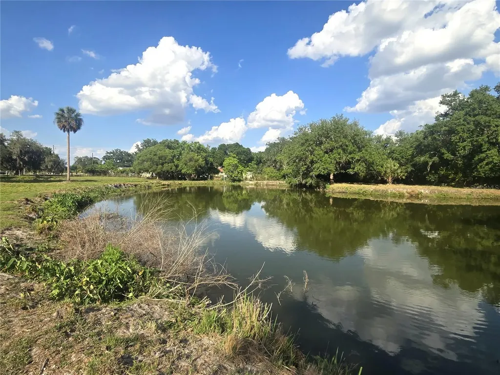 3101 Medulla Road Plant City FL 33566