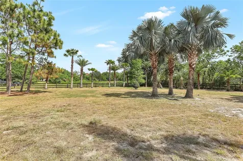 13124 Filly Court Windermere FL 34786