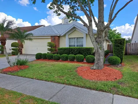 313 Morning Creek Circle Apopka FL 32712