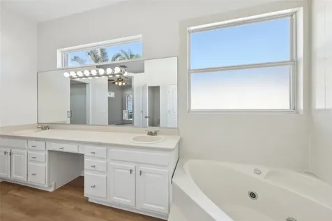1046 Island Pointe Drive Winter Garden FL 34787