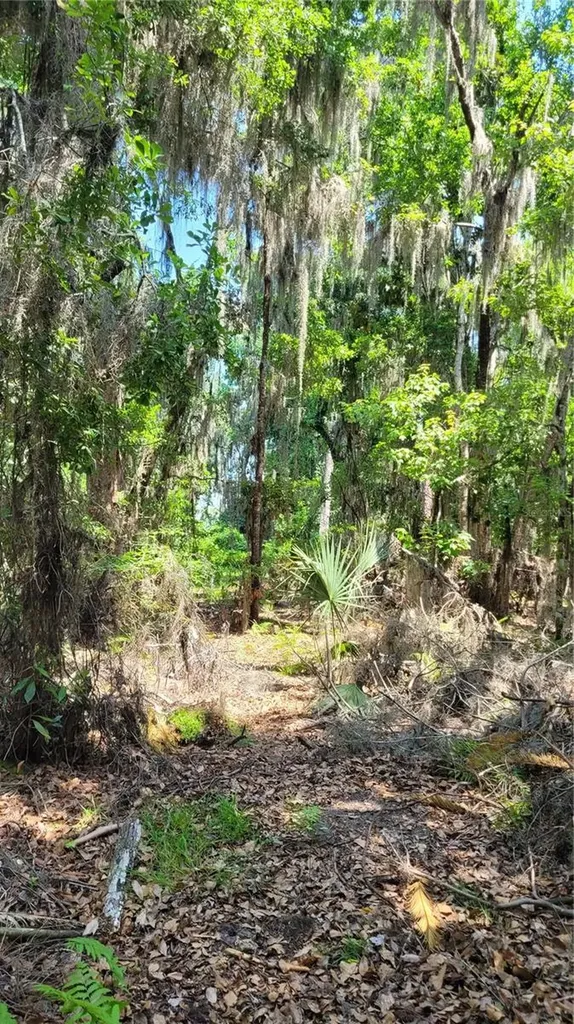 21779 NE 115th Avenue Earleton FL 32631