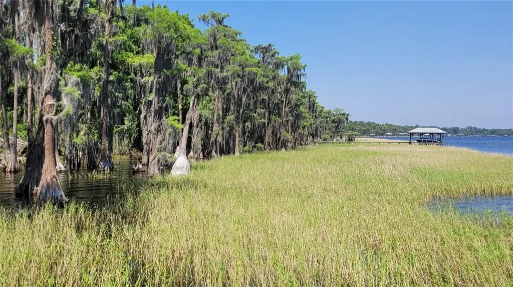 21779 NE 115th Avenue Earleton FL 32631