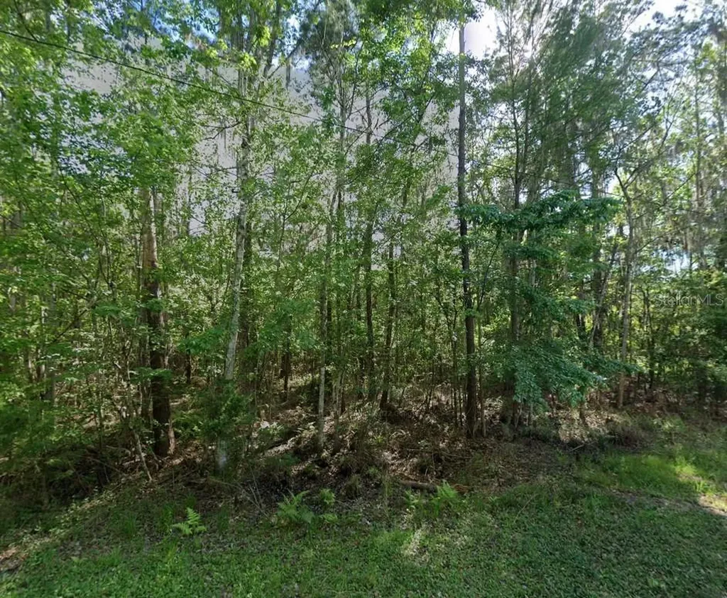 21779 NE 115th Avenue Earleton FL 32631