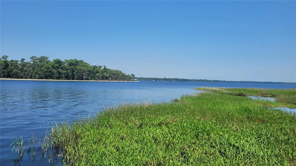 21779 NE 115th Avenue Earleton FL 32631