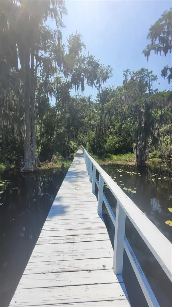 21779 NE 115th Avenue Earleton FL 32631