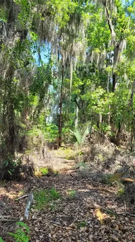 21779 NE 115th Avenue Earleton FL 32631