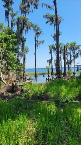 21779 NE 115th Avenue Earleton FL 32631